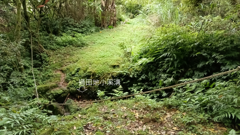 ef205d9d765d4e521fdda82d4872ea9d.png