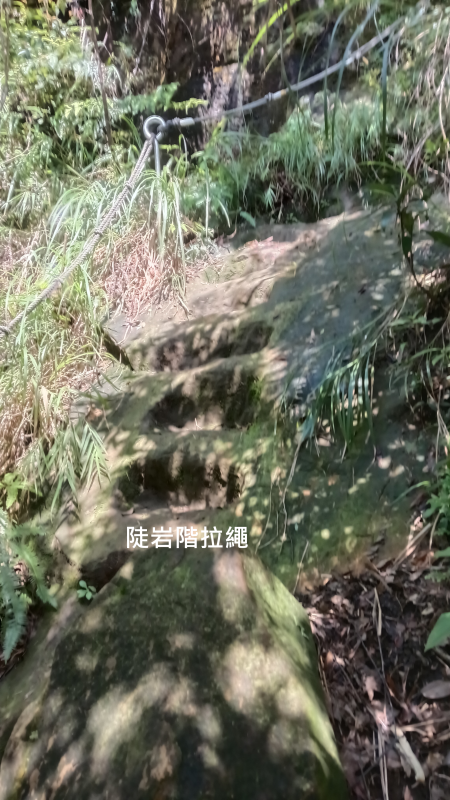 ef61fb7de4f29946cd0697905f96f692.png