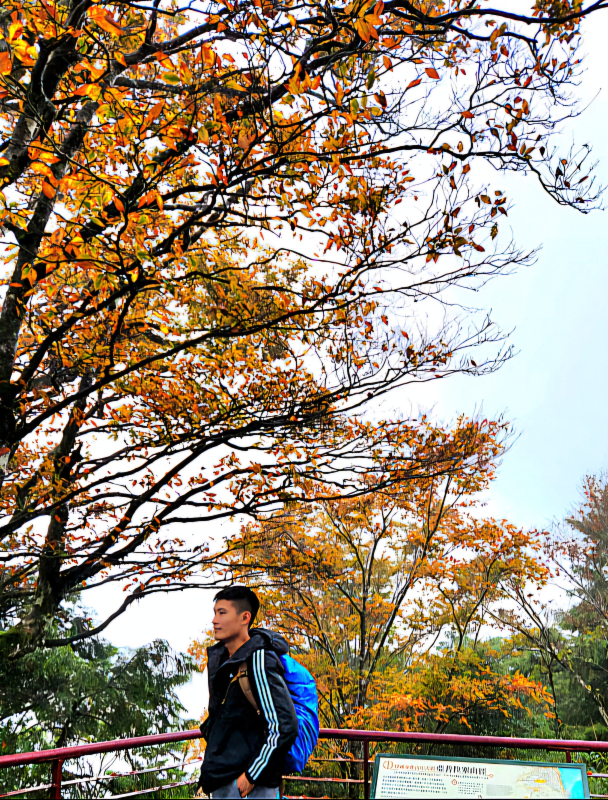 ef66120b3552a6805f8a759bd4e456b0.jpg