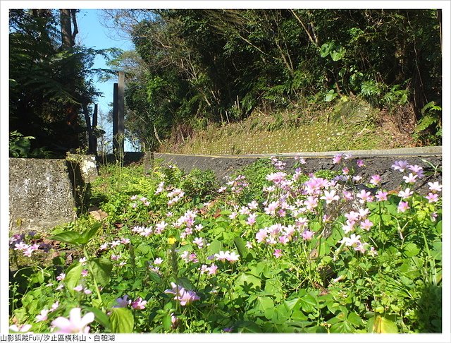 橫科山白匏湖 (163).JPG - 橫科山、白匏湖