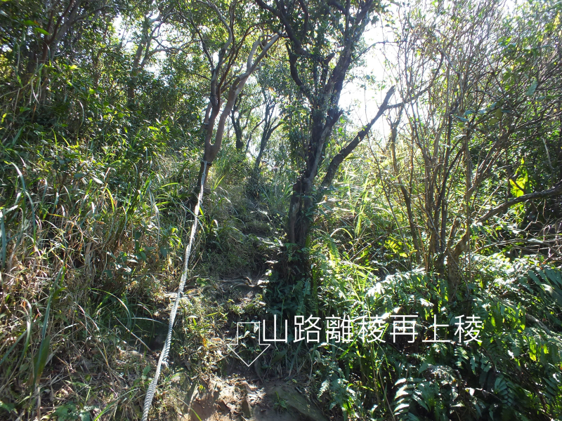 ef6fd7ced24bd6310919dd2cc83a214f.jpg