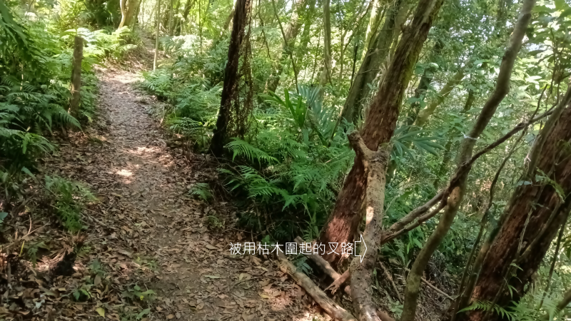 ef7ed57a266acf231c85714ba791018a.png