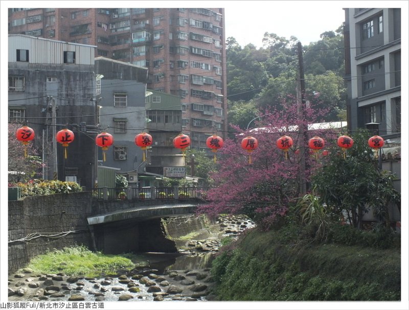 白雲古道 (10).JPG - 康誥坑溪山櫻花