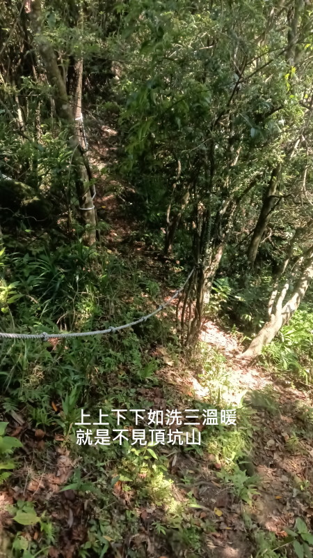 f01031eaf580db9743f20004bc56c05d.png