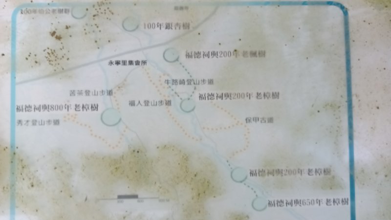 f033102642ab5d7093d36b1dee75aad6.jpg