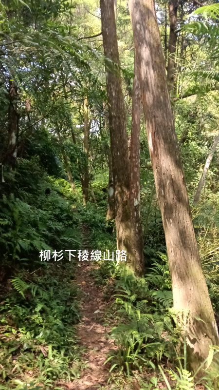 f03df07e21bfb169ed0800f9c66190cb.png