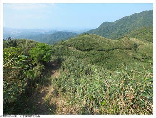 頂子寮山 (10).JPG - 頂子寮山