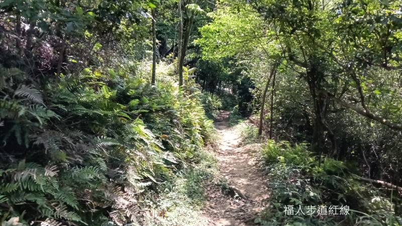 f084d6aabb921faf7f798c052944d057.png