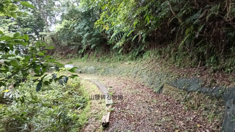 f0a85370a07401da56d1a606d0a5d11e.png