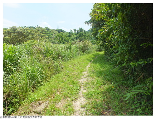 文秀坑古道 (33).JPG - 文秀坑古道