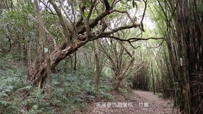 f12181652f2d900cb0e1375a59201dc8.png