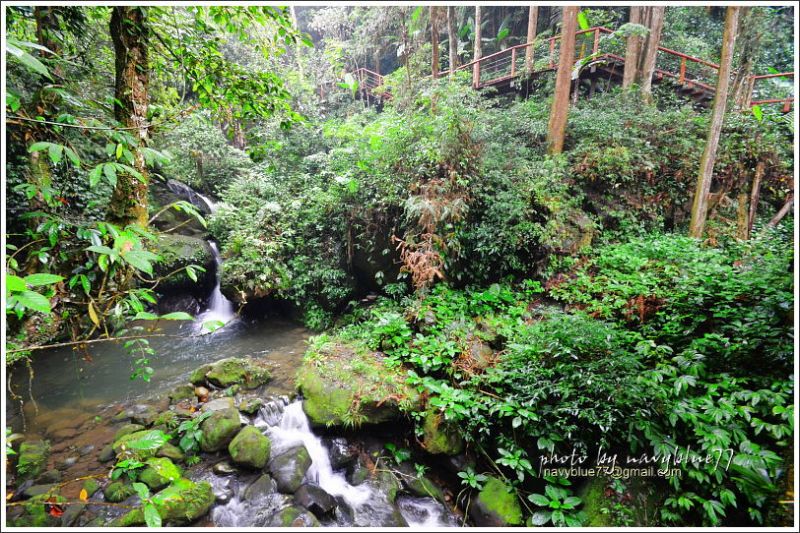 嘉義梅山太平仙人堀步道15.JPG