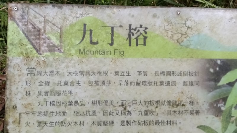 f1dbe378722309e96f0a374c3e3bfee0.jpg