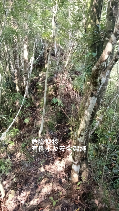 f1e64204d760e936ddf5763375220f8a.png