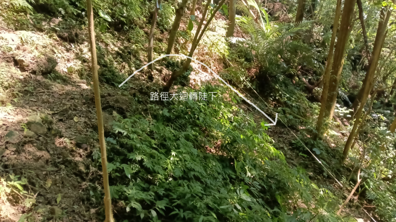 f2aabe193a60a0cae328a5ca711c9642.png
