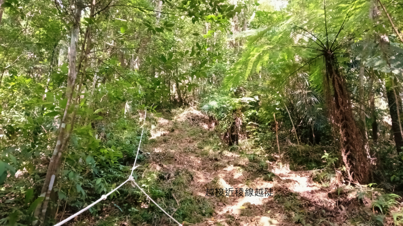 f2bd4e34025fdcabe778cec3a00d97e5.png