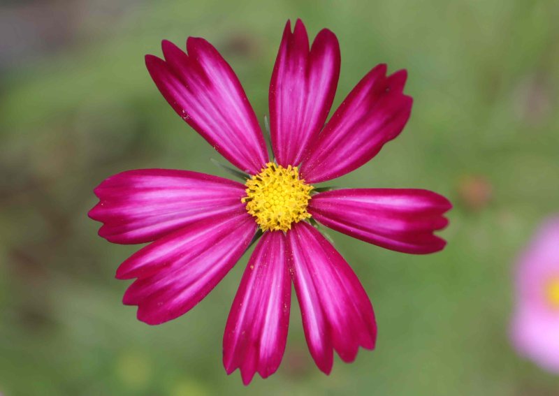 f2e6f03bee97d763c32e1d3b267f6d08.jpg
