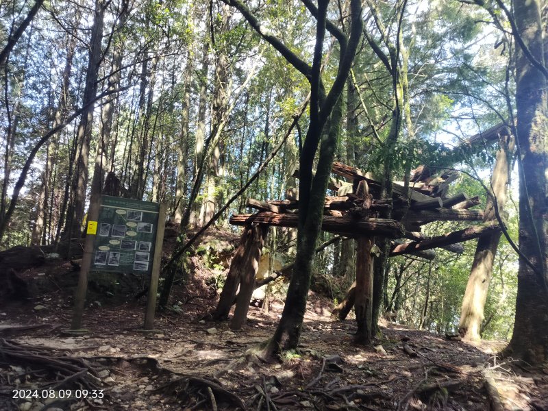 【台中】松鶴八唐O型（八仙山、唐麻丹山）