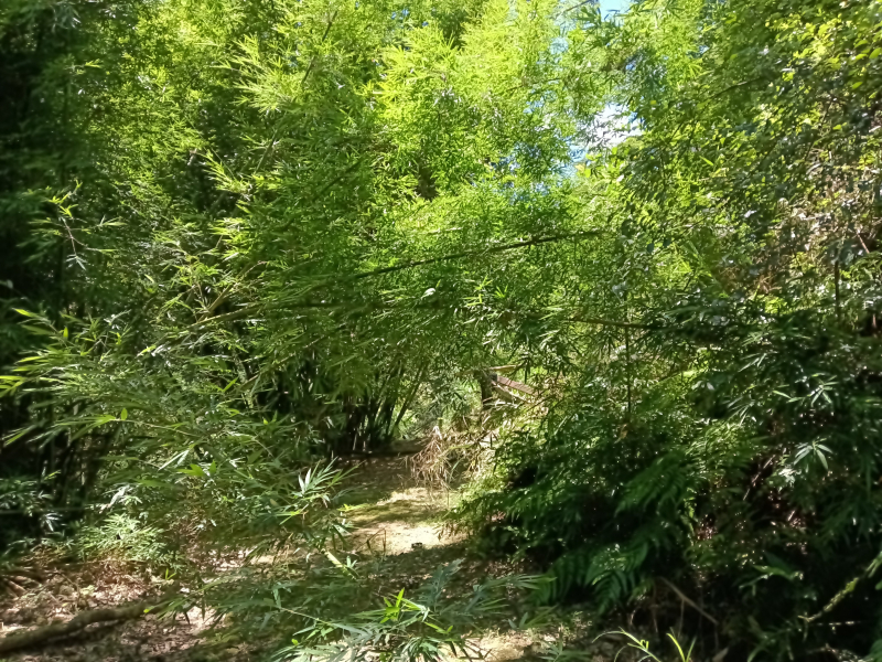 f317cc667079de637d2889542d391f16.jpg