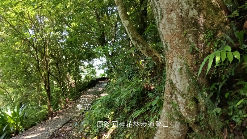 f32c9b6546154ea80838c3985469e641.png
