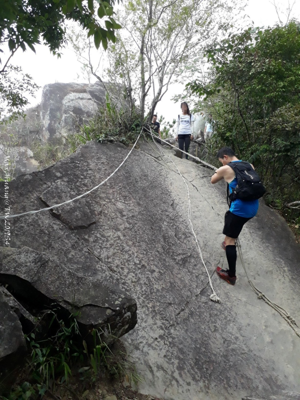 《台中》谷關七雄|東卯山