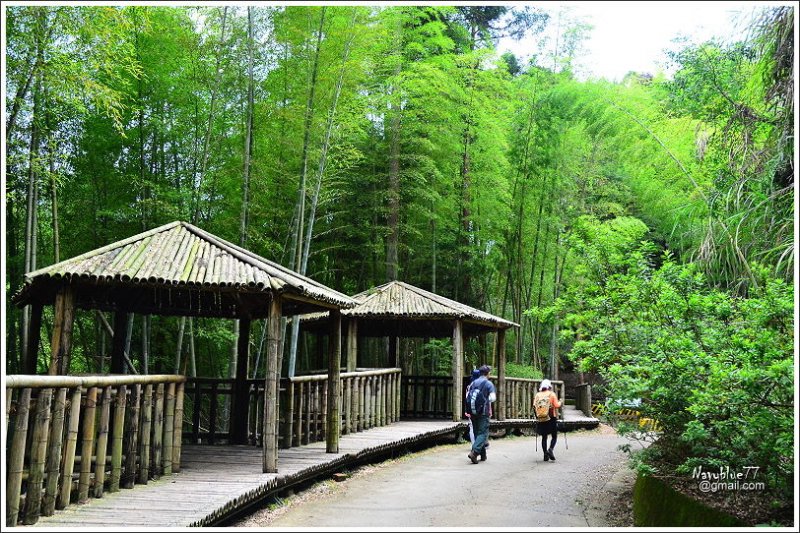 石壁木馬古道-五元二角-雲嶺之丘