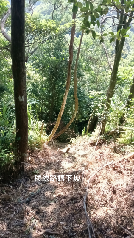 f39fcc6ad698bdac3bc3f8b18f873d19.png