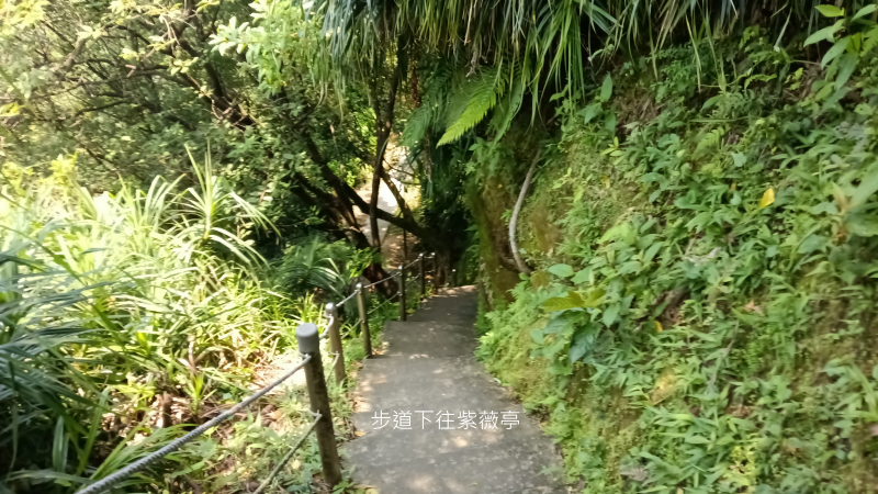 f3a58218ce596afe49de88950b36e320.png