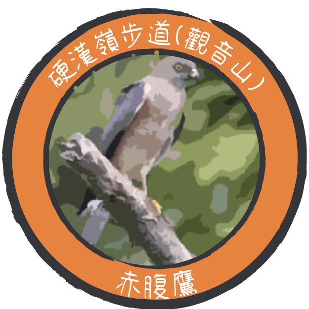 f3b370241d2475a35c6c343eecaa6990.png