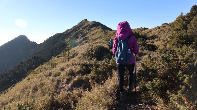 f3c0f7b8eefe76a87e6d3ff8703748bd.jpg