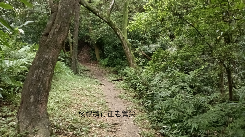 f3d8393dc25697304a8c1f8b7f462176.png