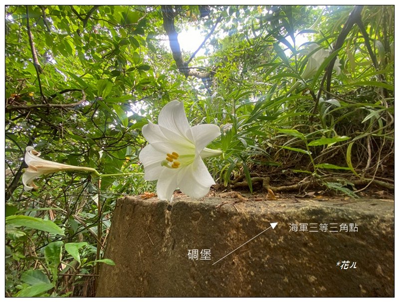 f3d96304a1ed1c9d13e333c346836774.jpg