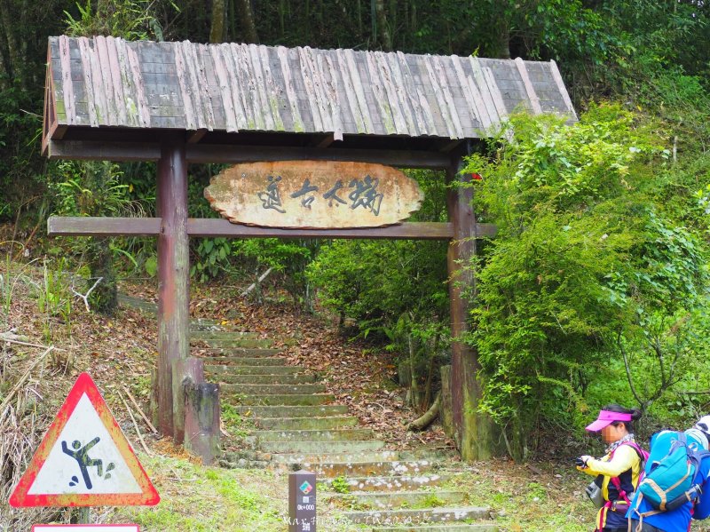 《嘉義》忘憂竹林｜瑞太古道O型