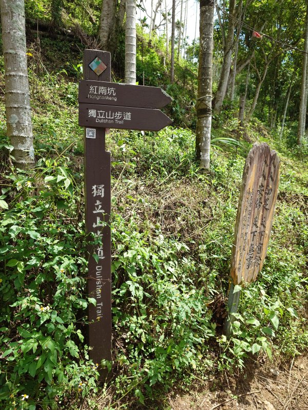 f4364fdc418485fa18ef6571d69d0773.jpg