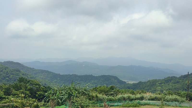 f48adb61017052ac5c501f4ce9411273.jpg