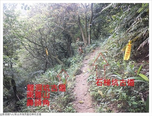 石梯坑古道 (27).JPG - 石梯坑古道