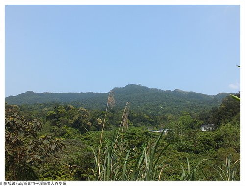 野人谷步道 (34).JPG - 野人谷步道