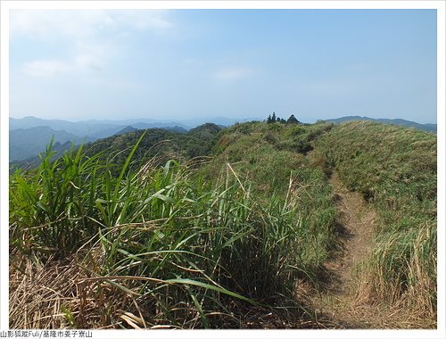 姜子寮山 (42).JPG - 姜子寮山