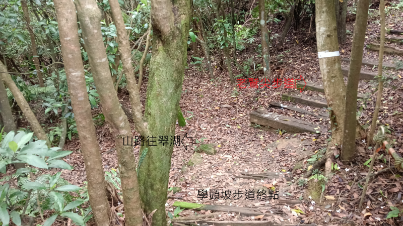 f5472150b19e970aa768edfa1918d8e6.png