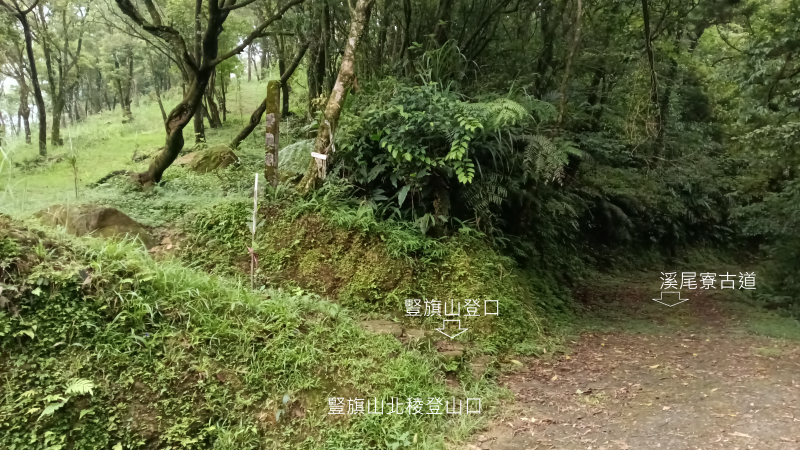 f557285b3a543398f5e7570707a2d1db.png
