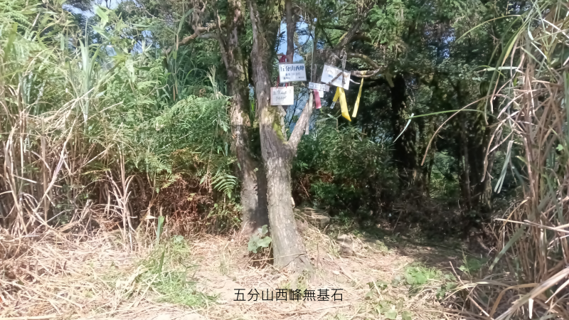 f56916c2a6e0cce0e6c90f64a65290e3.png