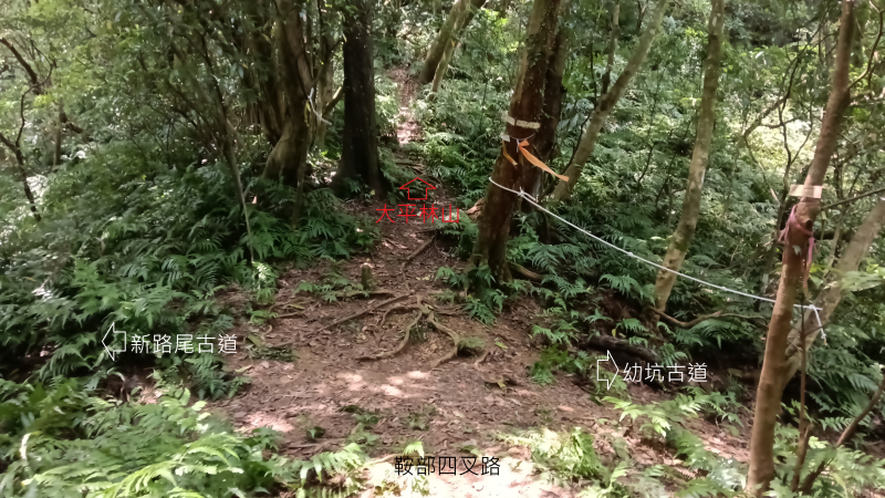 f56e70c201a071eaad98fbd59af63baf.png