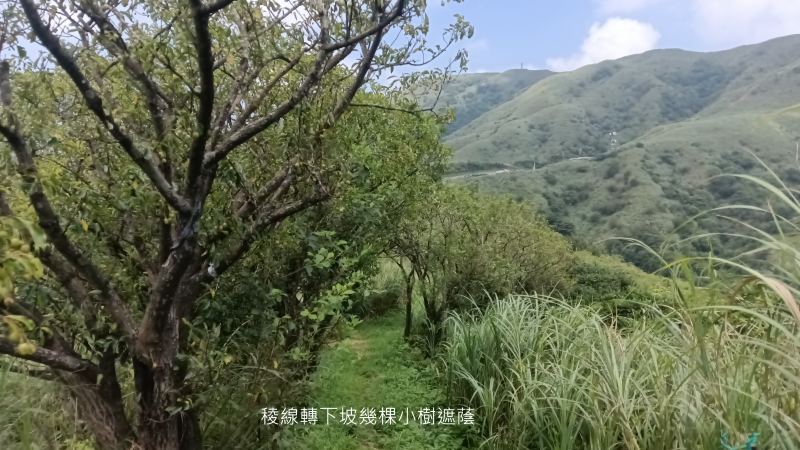 f590831df6552e5b06b84e2e6bbf942f.png