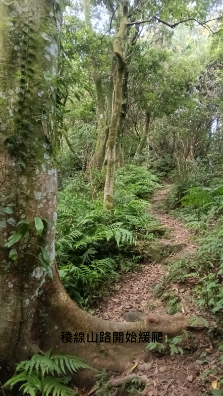 f59454e53b9595199ede4d32e4ca68f5.png