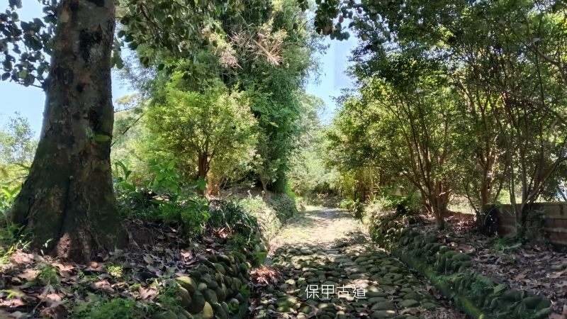 f59bb63b3d84aacb0561d14104f34903.png
