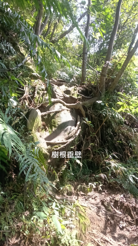 f5a796cb8ea458ecc4cd564a12261fea.png