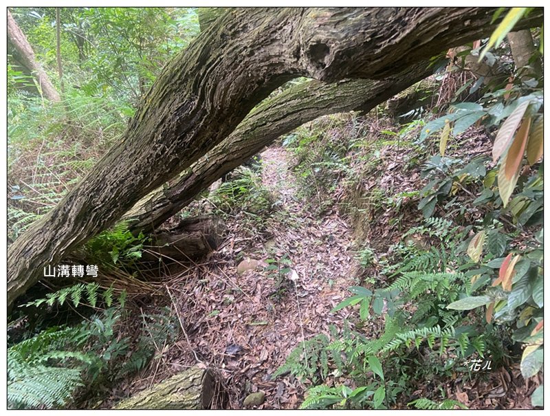 f5c567867a35ec0d1477403aeaf44981.jpg