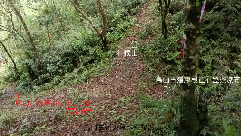 f5d09416cc26df7f0772bc70bd053e86.png