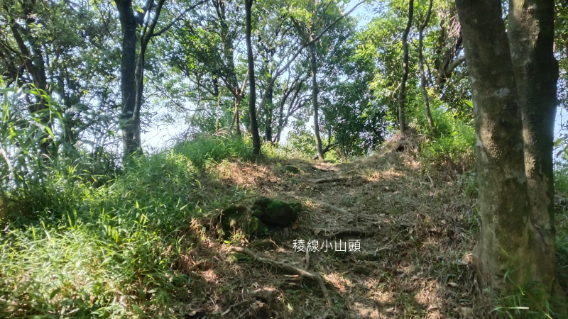 f5d56283a12d6a13a356e3ded246f8cf.png