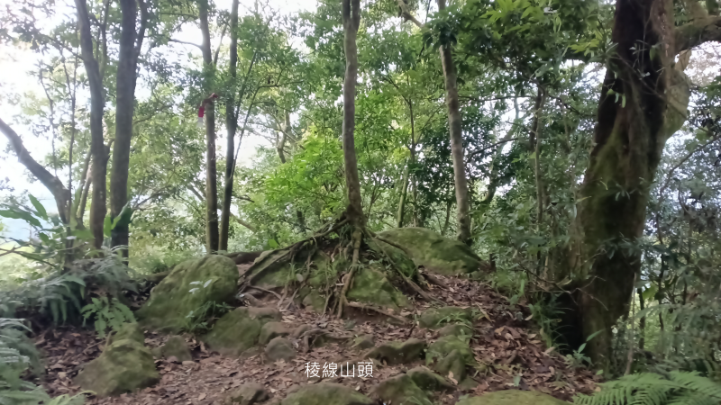f5f652b21ce9624e67fbac79272b5d5c.png
